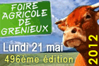 foire-grenieux-2012