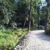 img_1279800439_295_lg