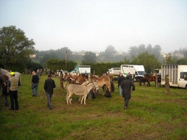 img_1243329942_580_lg