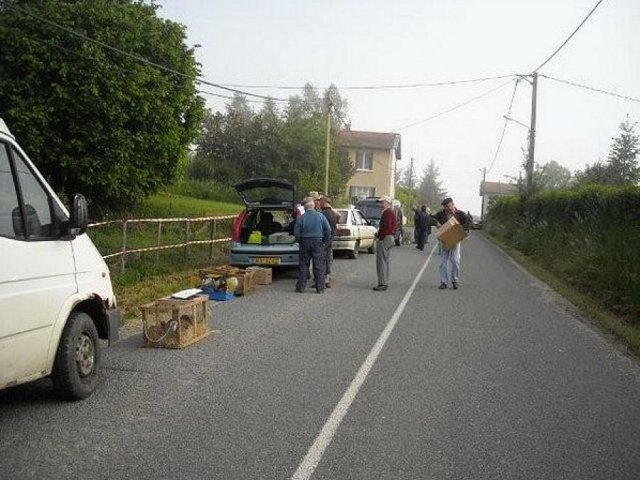 img_1243330016_255_lg