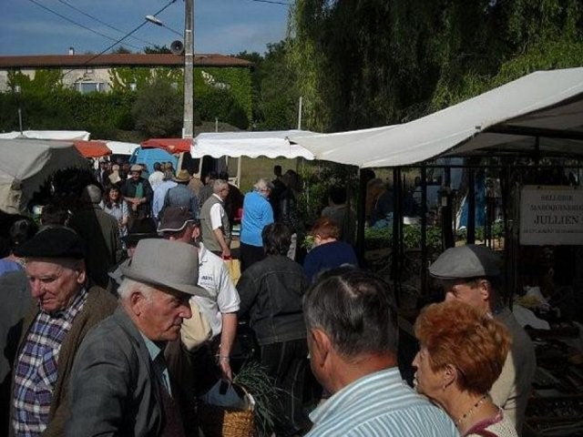 img_1243330070_435_lg