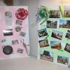 img_1182929708_380_lg