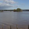 img_1225989266_451_lg